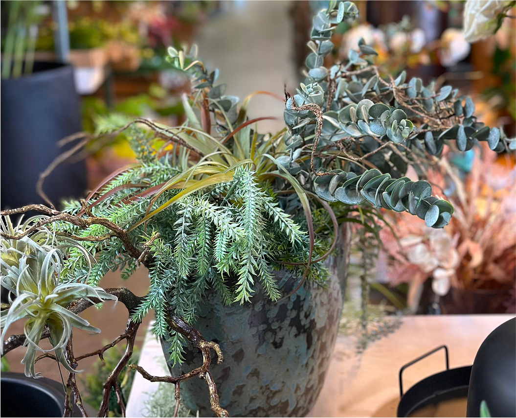 kategorie trávy a stromy